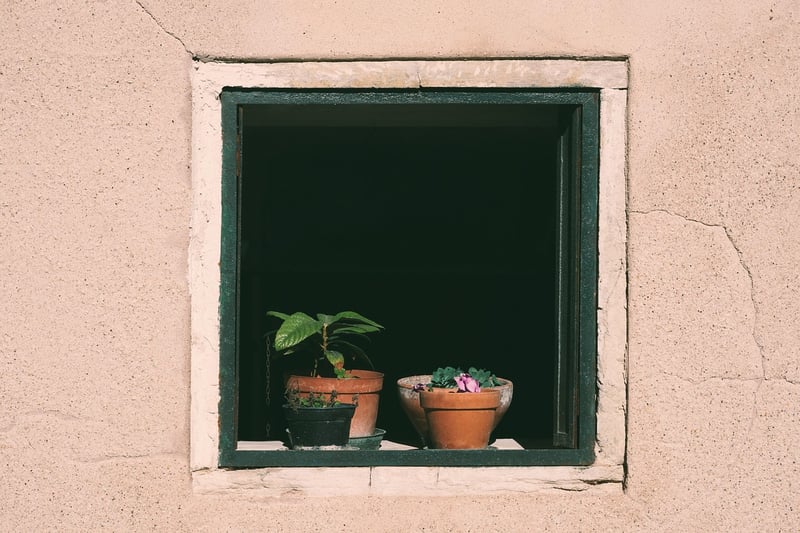 Secret Insights